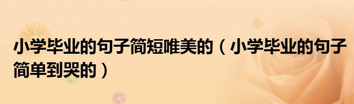 小學(xué)畢業(yè)的句子簡(jiǎn)短唯美的（小學(xué)畢業(yè)的句子簡(jiǎn)單到哭的）