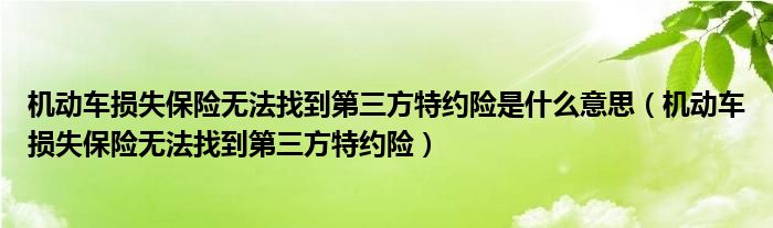 機(jī)動(dòng)車損失保險(xiǎn)無(wú)法找到第三方特約險(xiǎn)是什么意思（機(jī)動(dòng)車損失保險(xiǎn)無(wú)法找到第三方特約險(xiǎn)）
