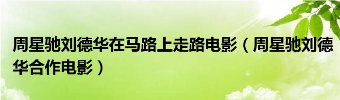 周星馳劉德華在馬路上走路電影（周星馳劉德華合作電影）