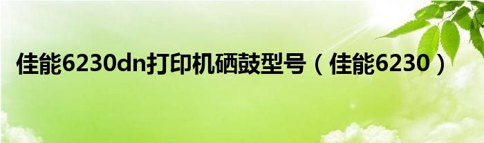 佳能6230dn打印機(jī)硒鼓型號(hào)（佳能6230）
