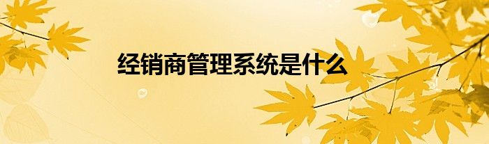 經(jīng)銷商管理系統(tǒng)是什么