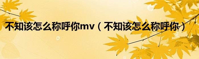 不知該怎么稱呼你mv（不知該怎么稱呼你）