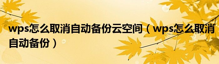 wps怎么取消自動備份云空間（wps怎么取消自動備份）