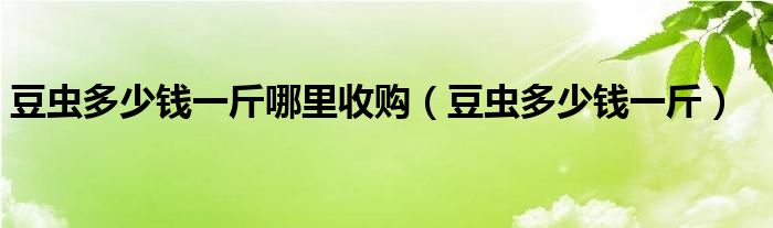 豆蟲(chóng)多少錢(qián)一斤哪里收購(gòu)（豆蟲(chóng)多少錢(qián)一斤）