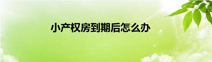 小產(chǎn)權房到期后怎么辦