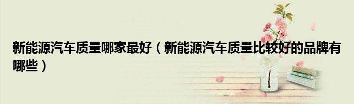 新能源汽車質(zhì)量哪家最好（新能源汽車質(zhì)量比較好的品牌有哪些）