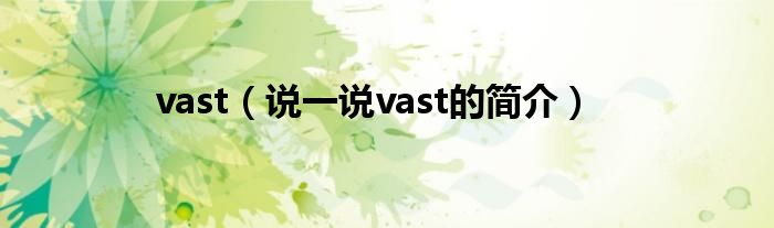 vast（說一說vast的簡介）
