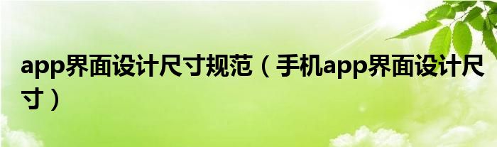 app界面設(shè)計(jì)尺寸規(guī)范（手機(jī)app界面設(shè)計(jì)尺寸）