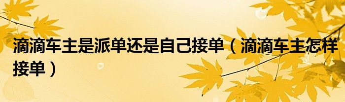滴滴車主是派單還是自己接單（滴滴車主怎樣接單）