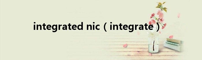 integrated nic（integrate）
