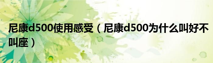 尼康d500使用感受（尼康d500為什么叫好不叫座）