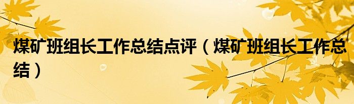煤礦班組長工作總結(jié)點評（煤礦班組長工作總結(jié)）
