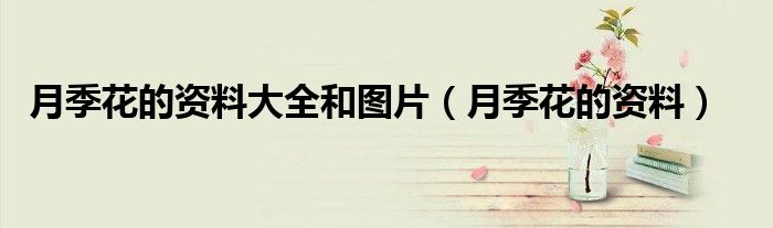 月季花的資料大全和圖片（月季花的資料）