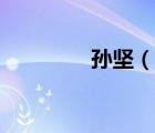 孫堅（說一說孫堅的簡介）