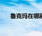 魯克瑪在哪刷（魯克瑪多久刷新一次）