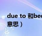 due to 和because 的區(qū)別（due to是什么意思）