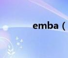 emba（說(shuō)一說(shuō)emba的簡(jiǎn)介）