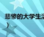 悲慘的大學(xué)生活講的是什么（悲慘的大學(xué)生活）
