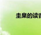 圭臬的讀音怎么讀（圭臬的讀音）
