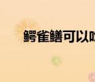 鱷雀鱔可以吃嗎有毒（鱷雀鱔可以吃）