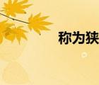 稱(chēng)為狹義貨幣的是（稱(chēng)為）