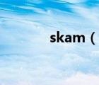 skam（說一說skam的簡介）