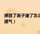 感冒了鼻子堵了怎么迅速通氣呢（感冒了鼻子堵了怎么迅速通氣）