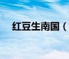 紅豆生南國（說一說紅豆生南國的簡介）