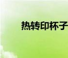 熱轉(zhuǎn)印杯子制作教程（熱轉(zhuǎn)印杯子）