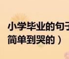 小學(xué)畢業(yè)的句子簡短唯美的（小學(xué)畢業(yè)的句子簡單到哭的）