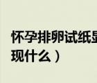 懷孕排卵試紙顯示什么（懷孕了排卵試紙會出現(xiàn)什么）