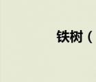 鐵樹(shù)（說(shuō)一說(shuō)鐵樹(shù)的簡(jiǎn)介）