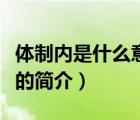 體制內(nèi)是什么意思（說(shuō)一說(shuō)體制內(nèi)是什么意思的簡(jiǎn)介）