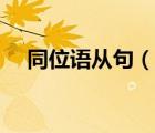 同位語從句（說一說同位語從句的簡介）
