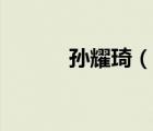 孫耀琦（說一說孫耀琦的簡(jiǎn)介）