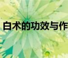 白術(shù)的功效與作用護(hù)肝（白術(shù)的功效與作用）