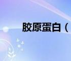 膠原蛋白（說一說膠原蛋白的簡介）