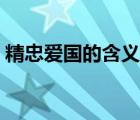 精忠愛國的含義是什么（愛國的含義是什么）