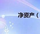 凈資產(chǎn)（說一說凈資產(chǎn)的簡介）