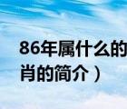 86年屬什么的生肖（說一說86年屬什么的生肖的簡介）