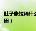 肚子脹拉稀什么原因（肚子痛又拉稀是什么原因）