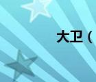 大衛(wèi)（說一說大衛(wèi)的簡介）
