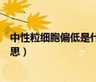 中性粒細(xì)胞偏低是什么意思（中性粒細(xì)胞比例偏低是什么意思）