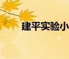 建平實(shí)驗(yàn)小學(xué)上海（建平實(shí)驗(yàn)小學(xué)）