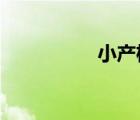 小產(chǎn)權(quán)房到期后怎么辦