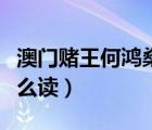 澳門賭王何鴻燊傳怎么讀（澳門賭王何鴻燊怎么讀）