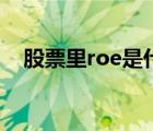 股票里roe是什么指標(biāo)（roe是什么指標(biāo)）
