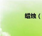 蠟燭（說一說蠟燭的簡(jiǎn)介）