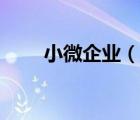小微企業(yè)（說一說小微企業(yè)的簡介）
