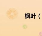 楓葉（說一說楓葉的簡介）